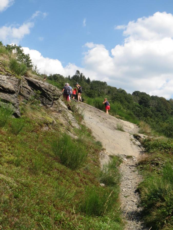 Chez Petit Gust Welkom In La Roche En Ardenne Eksteriør billede